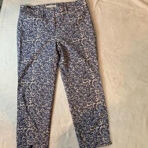 Loft Side Zip Kick Crop Pant Nwt Size 4 